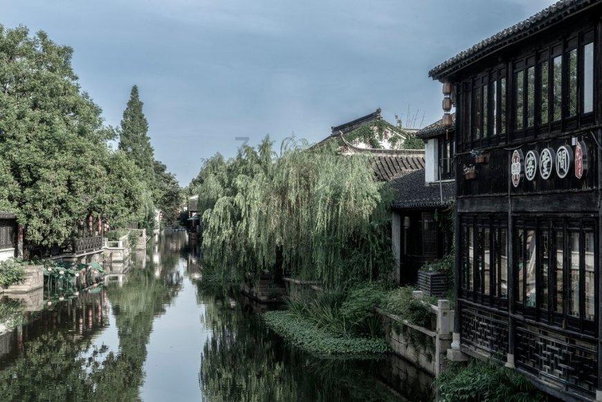 逃出巫婆屋